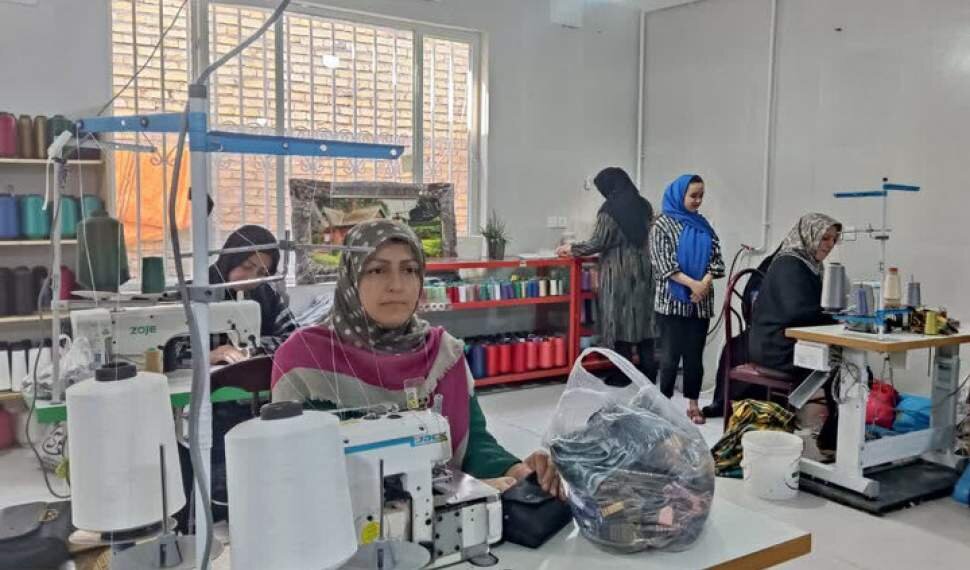 تصویب ۷۷۰ میلیارد ریال تسهیلات اشتغال‌زایی برای مددجویان کمیته امداد ایلام/ فراخوان برای تشکیل پرونده تا ۲۰ مهرماه