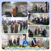 ۷۰ سالمند تحت حمایت کمیته امداد جغتای در همایش تکریم سالمندان تجلیل شدند