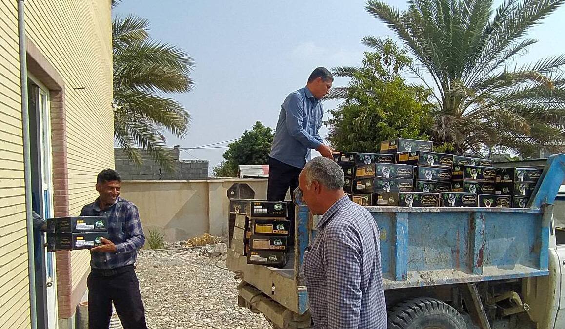 سایه سخاوت نخل‌داران بر معیشت نیازمندان؛ جمع‌آوری یک تن خرما در قالب زکات در بخش رودخانه