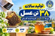 فعالیت ۲۴۴ طرح پرورش زنبور عسل با تولید سالانه ۳۸ تن عسل توسط مددجویان گلستان