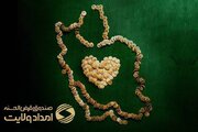 گیلان پیشتاز استان های کشور در بازپرداخت به موقع تسهیلات صندوق امداد ولایت