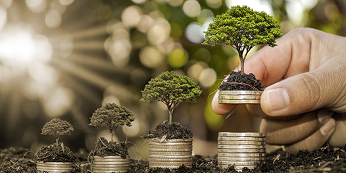 پرداخت بیش از 109 میلیارد ریال تسهیلات قرض الحسنه به مددجویان تاکستانی